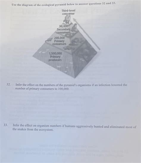 Solved Use the diagram of the ecological pyramid below to | Chegg.com