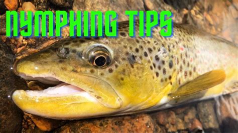 NYMPHING Tips and Tricks - fly fishing - Huge Fly Fisherman