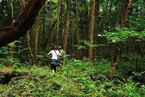 Ini 5 Hutan Paling Angker Di Dunia Metropolitan