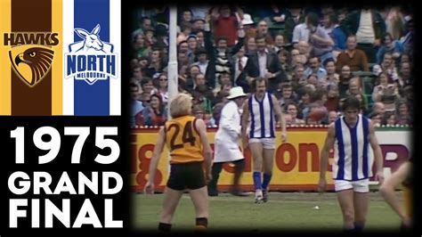 Vfl Grand Final Hawthorn Vs North Melbourne Extended Highlights