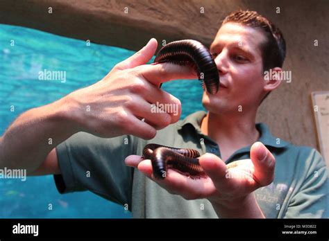 Tier Inventur Im Tropen Aquarium Tierpark Hagenbeck Hamburg 29 12