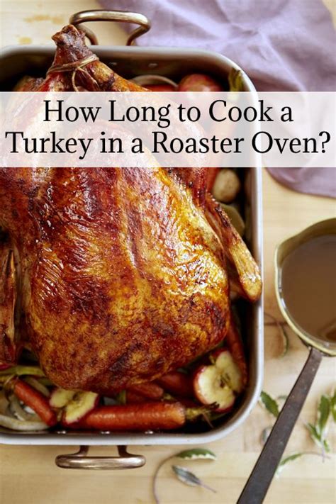 How Long To Cook A Turkey In A Roaster Oven In 2023 Cooking Turkey Roaster Recipes Turkey