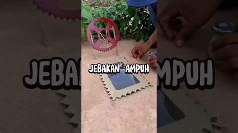 Perangkap Ini Mampu Menangkap Banyak Mangsa Shorts Short