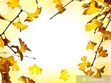 Adesivo Quadro Di Ginkgo Foglie In Autunno Pixers It