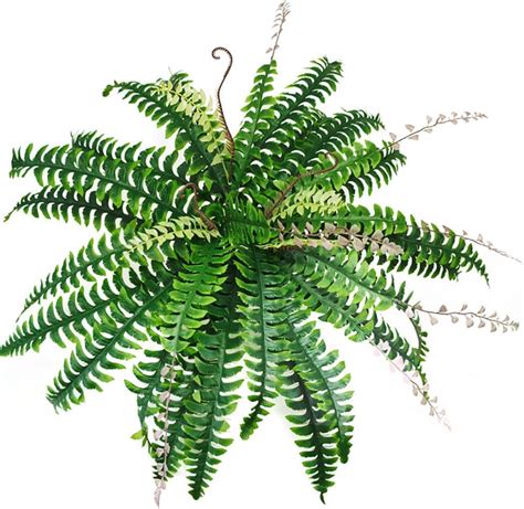 Amazon Artificial Silk Plant Boston Fern Bush Hanging Plants Fake