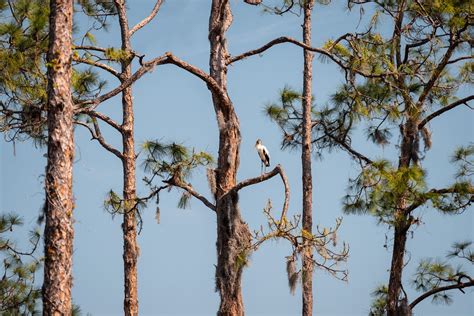 Discovering The Best Things To Do In Punta Gorda Floridas Hidden Gem