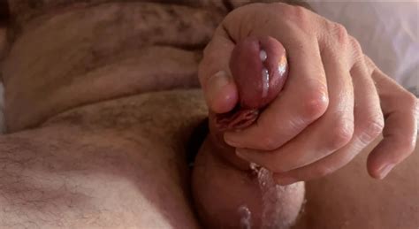 A Beary Hairy Chupabear Busts His Nut On Vacation In Ft Lauderdale Gay Porn XHamster