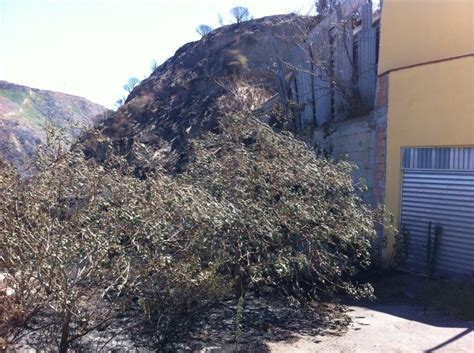 Reggio Maxi Incendio A Morloquio Le Immagini Del Disastro Dopo Una