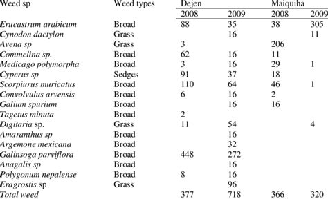 List Of Weed Species And Their Density Plants M 2 In The