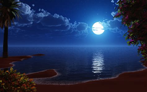 Beach At Night Wallpaper - WallpaperSafari