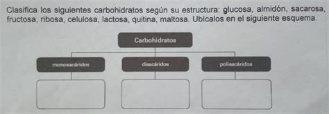 3 clasifica los siguientes carbohidratos según su estructura glucosa