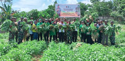 Dukung Program Hanpangan Dan Wujudkan Swasembada Pangan Koramil Biak