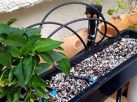 A Simple Hydroponic Drip System Diy