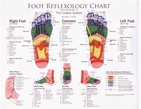 Reflexology - The feet are a mirror of health | Health & nutrition