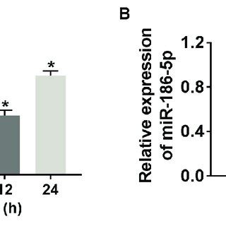 Hypoxia Treatment Elevated The Expression Of LncRNA TTTY15 And