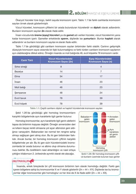 S N F Biyoloji Ders Kitab Pasifik Yay Nlar Sayfa Cevaplar