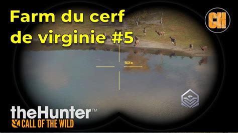 The Hunter Cotw Farm Du Cerf De Virginie Youtube