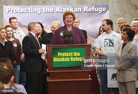 Arctic Wildlife Refuge Photos And Premium High Res Pictures Getty Images