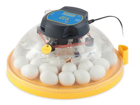 Brinsea Maxi Ii Eco Manual Chicken Egg Incubator Wayfair