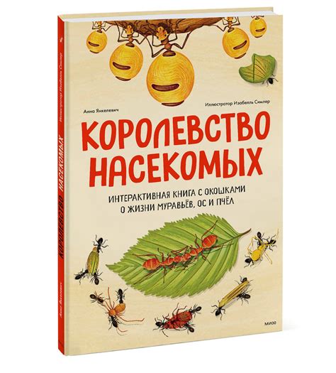 Королевство насекомых. Интерактивная книга с окошками о жизни муравьёв ...