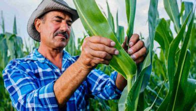 Brasil Conquista Novas Aberturas De Mercado Nos Estados Unidos E Amplia