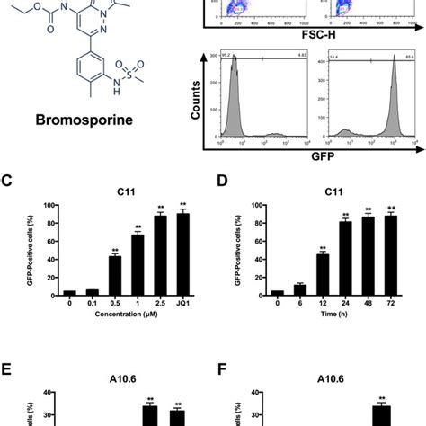 Bromosporine Reactivates Hiv 1 Replication From Latency In Primary Cd4