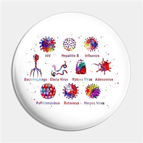 Diagram Showing Different Kinds Of Viruses Sport Pin TeePublic