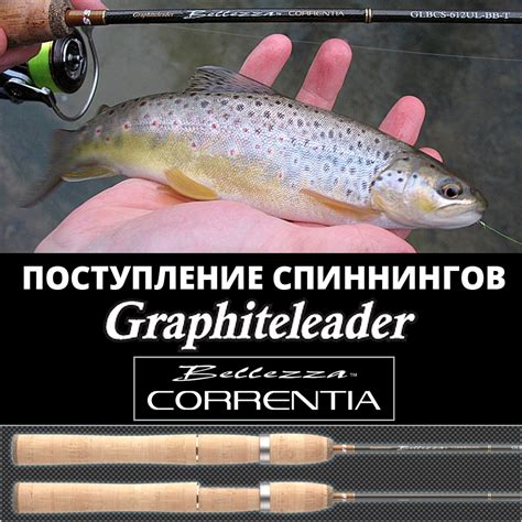 GRAPHITELEADER