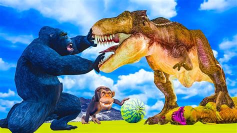 Funny Gorilla Vs T Rex Vs Tyrannosaurus Animal Fight Funny Gorilla Vs