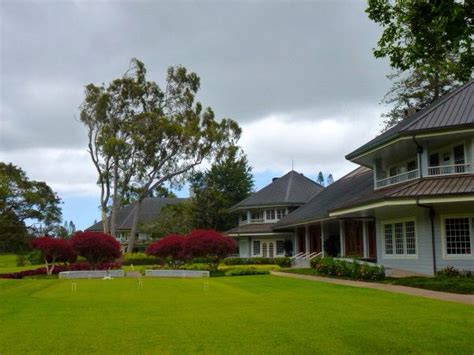 Several Houses With Trees In The Background And Grass On The Ground