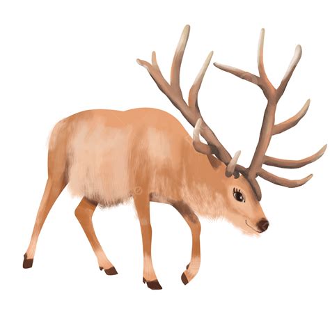 Mammals Clipart Hd Png Light Brown Elk Mammal Clipart Elk Clipart