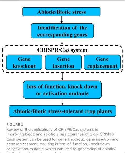 Table 1 From CRISPR Cas Genome Editing Improves Abiotic And Biotic