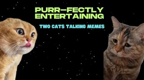 Purr-fect Conversations: The Magic of Two Cats Talking Memes!