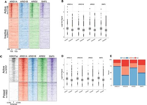 Identification Of Arid Bound Regions A Chip Seq Signal Aligned To All Download Scientific