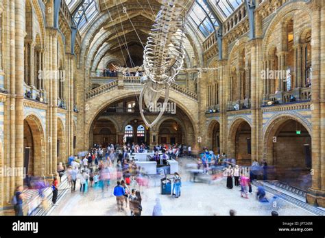 Crowd Of People Visitors Admire The Blue Whale Skeleton Named Hope