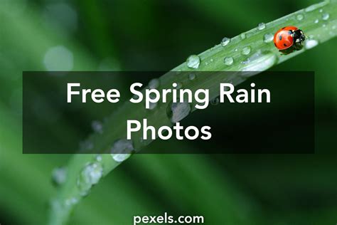 1000+ Interesting Spring Rain Photos · Pexels · Free Stock Photos