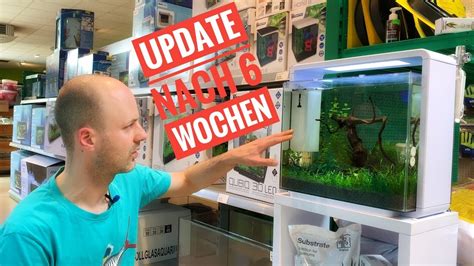 Update Das Nano Aquarium Nach Der Einfahrphase Einrichtung Teil