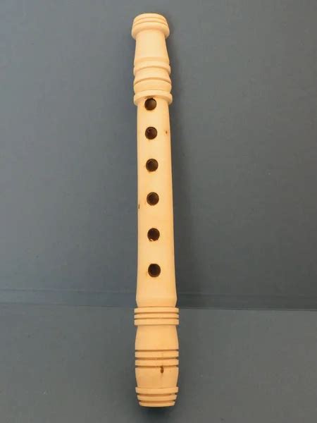 Wooden flute recorder — Stock Photo © route66 #315145972