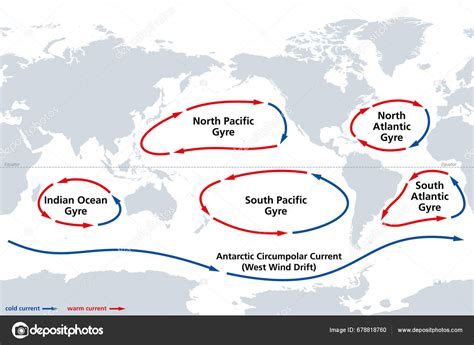 Major Ocean Gyres World Map Most Notable Ocean Gyres Flowing Stock ...