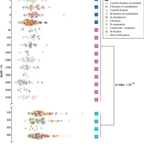 In Situ Bacterial Replication Rates Across Subsurface Ecosystems