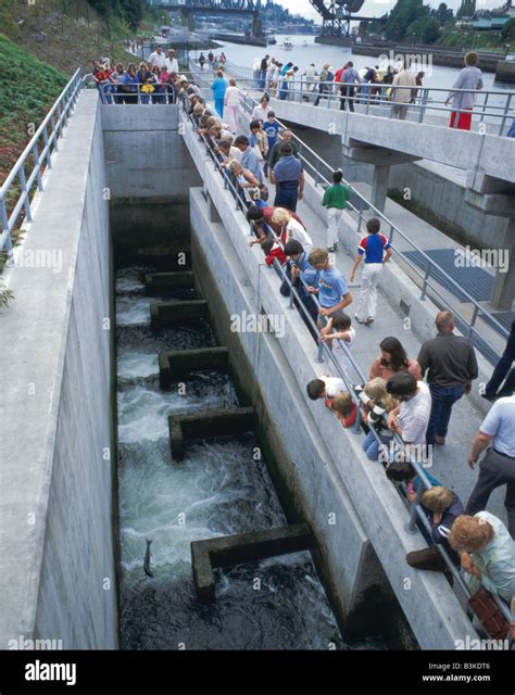 Salmon Ladders Hi Res Stock Photography And Images Alamy