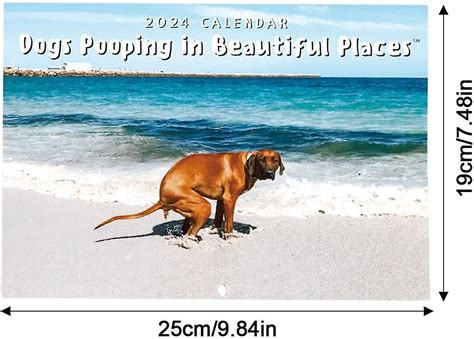 Calendrier 2024 Des Chiens Qui Font Caca Dans De Beaux Endroits Art