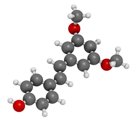 Studio Molekuul Molecular Visualization And Scientific Illustration