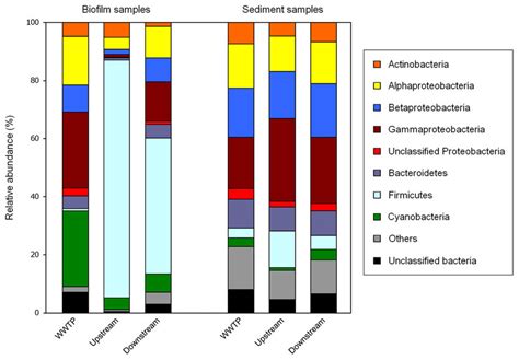 Relative Abundance Of Major Bacterial Lineages Phyla And Classes For