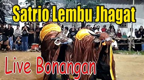 BANTENGAN SATRIO LEMBU JHAGAT FEAT BANTENGAN BONKID ROJO KOYO LIVE