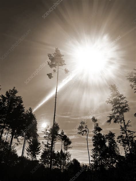 Tunguska event, illustration - Stock Image - C056/2037 - Science Photo ...