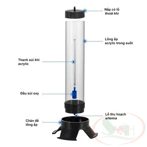 Bộ lồng ấp artemia Incubator Brine Shrimp Eggs nâng cấp - Shrimp Home