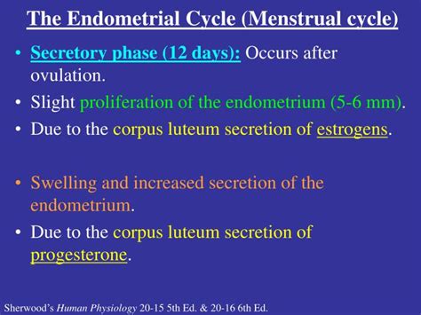 PPT - The Endometrial Cycle (Menstrual cycle) PowerPoint Presentation - ID:5120084