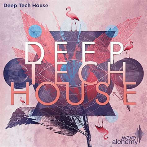 Deep Tech House Sample Pack Loops Wave Alchemy