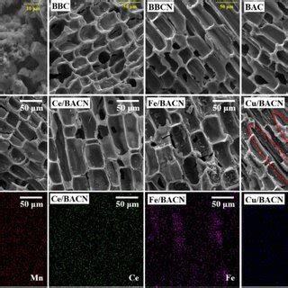 Surface Morphologies And Corresponding Elemental Mapping Of The Samples